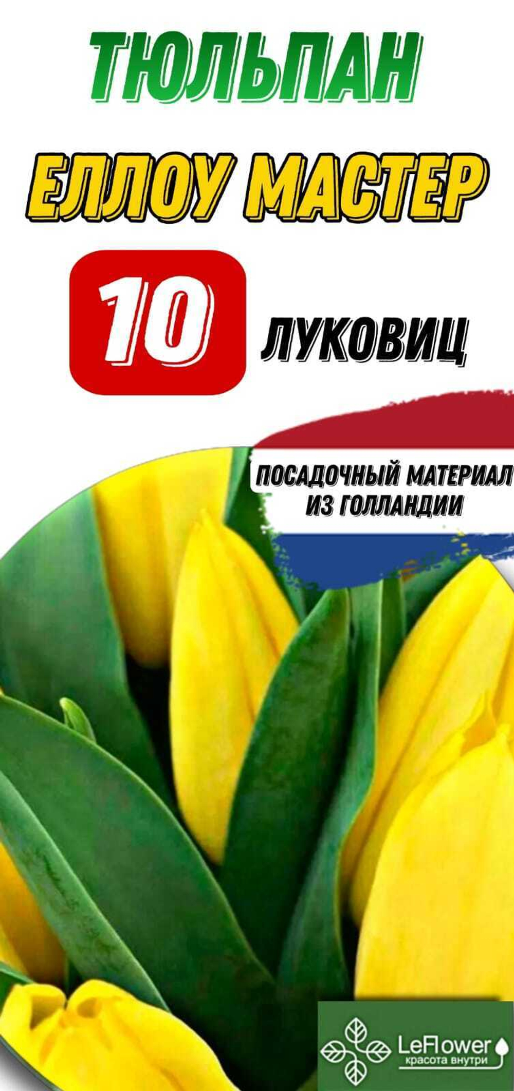 Тюльпан Луковица, Еллоу Мастер, 10шт