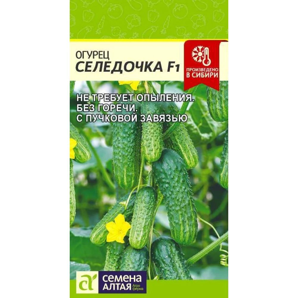 Огурец Селедочка Семена Алтая