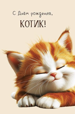 Открытка "С Днем рождения, котик!" 121х183 (АртДизайн)