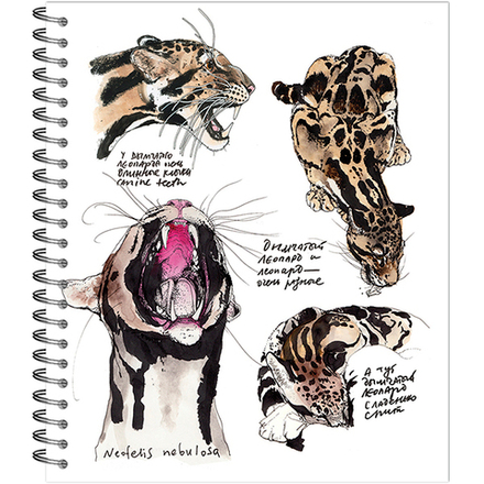 НОВИНКА! Тетрадь общая 96 листов на спирали "Зарисовки. Дикая природа"