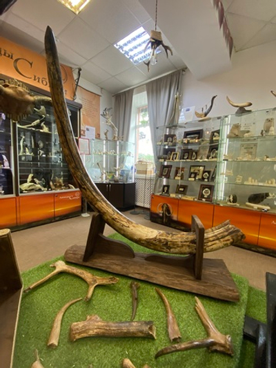 "Стрела времени", коллекционный бивень мамонта