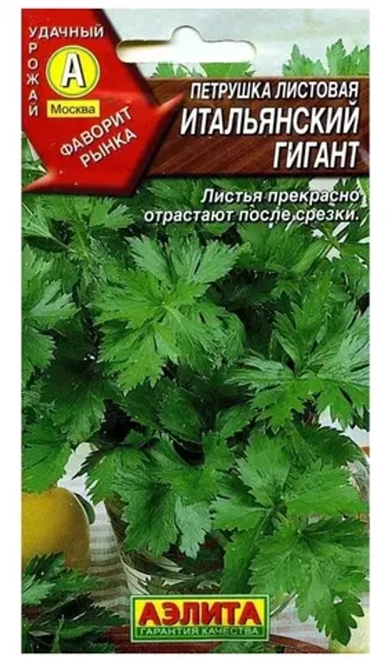 Петрушка Итальянский гигант