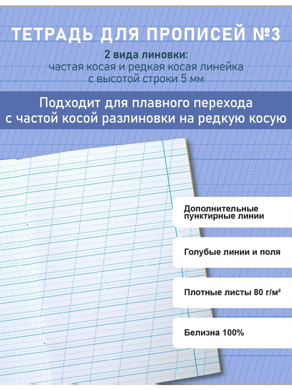 Набор тетрадей для прописей МИКС, 12 шт