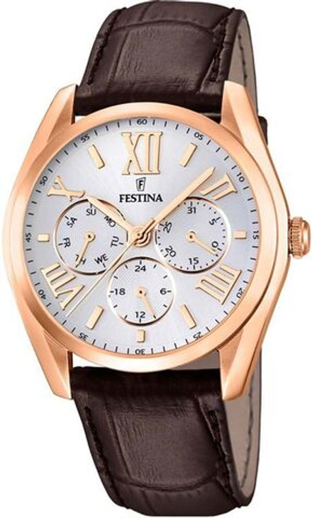 Мужские наручные часы Festina F16754/1