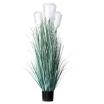 Осока сизая 5 веток 125 см.