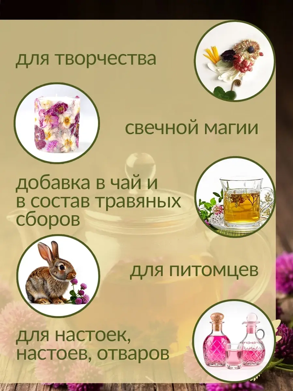 Набор трав и сухоцветов для творчества №2