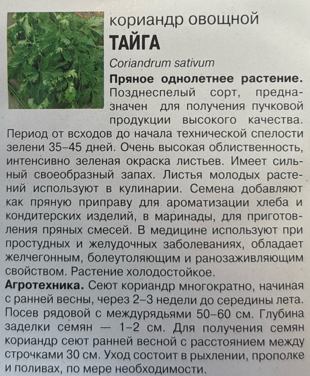 Кориандр Тайга 1 г СМЗ-82