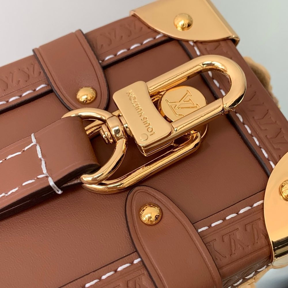 Louis Vuitton Side Trunk MM