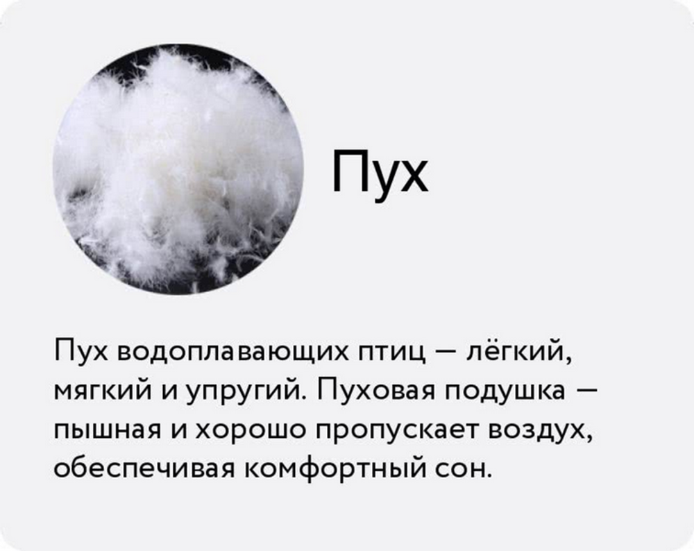 Подушка пуховая "Большая медведица"