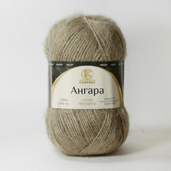 Ангара (Камтекс)