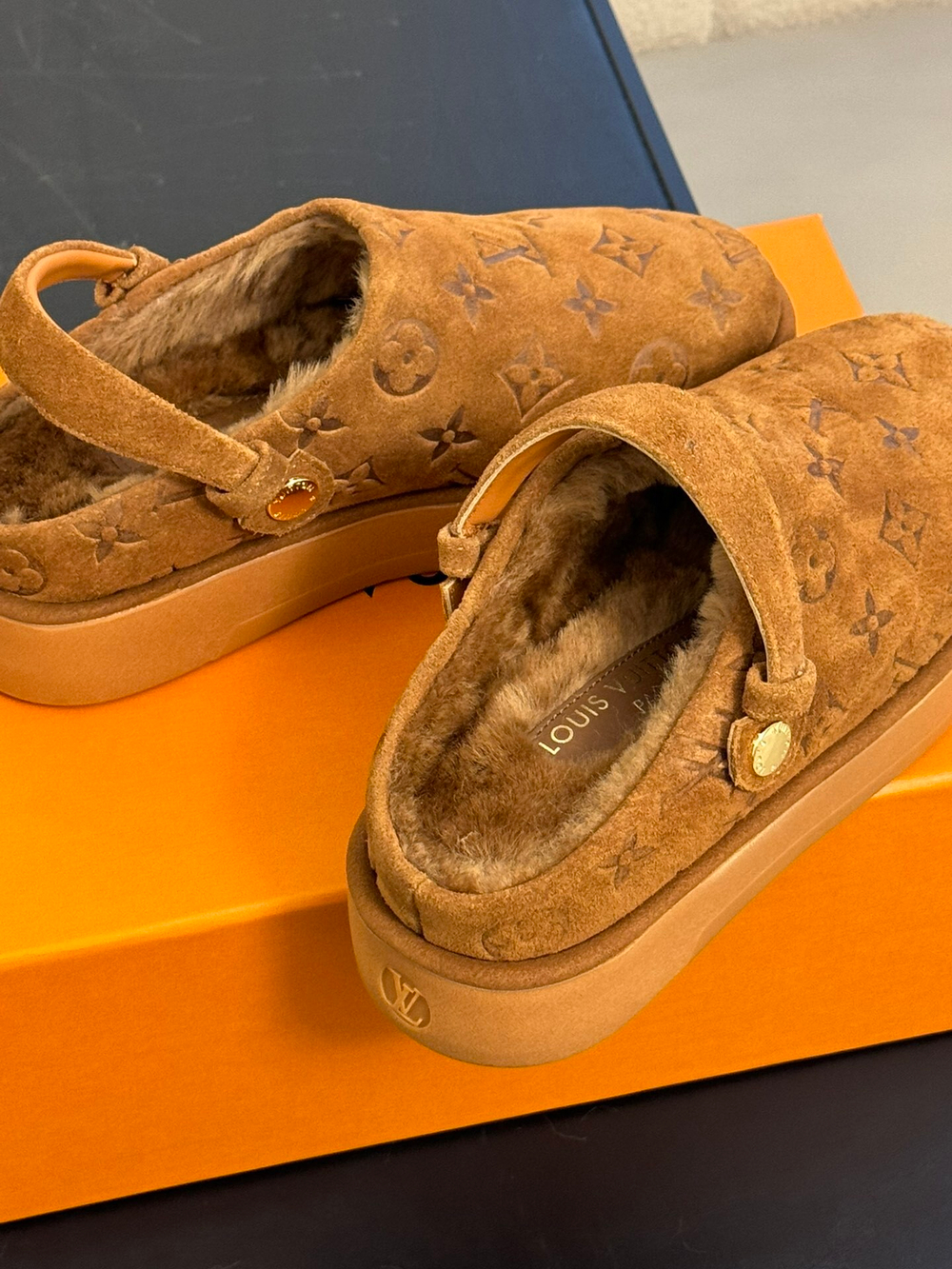 Louis Vuitton Aspen Platform Clogs