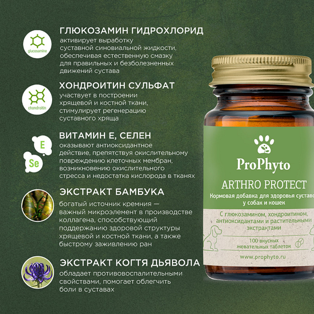 ProPhyto Артро Защита, 100 таблеток