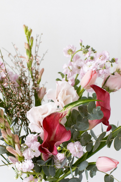 Моменты нежности