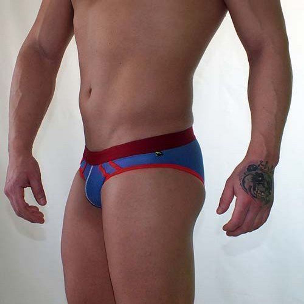 Трусы мужские брифы  в сеточку синие Van Baam VB-38117