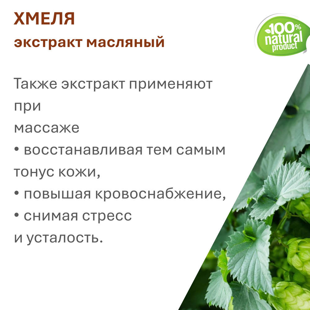 Экстракт хмеля, масляный