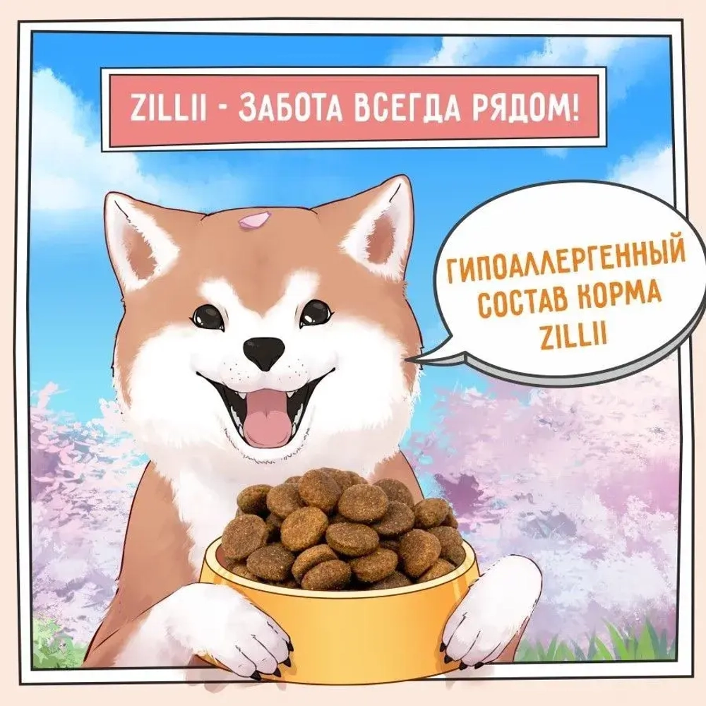 Сухой корм для собак ZILLII (Зилли) Dog Adult Large Breed 3кг индейка и ягненок для крупных пород