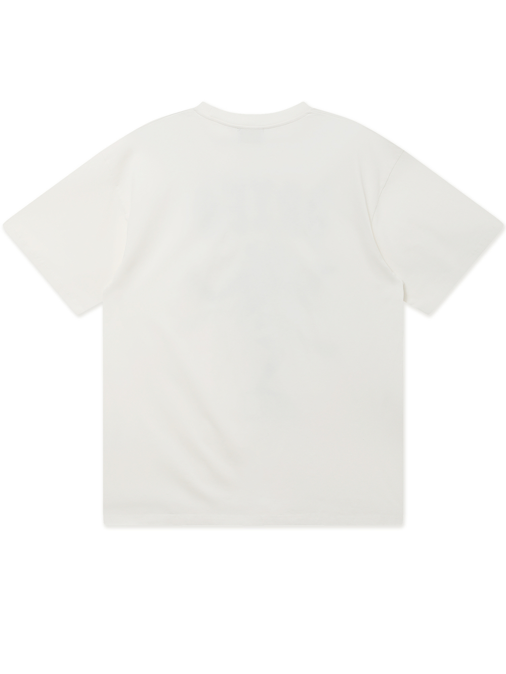 Футболка Кор. Рукав Faded The Destroyer Ss Tee