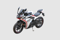 Мотоцикл VINTO GP300