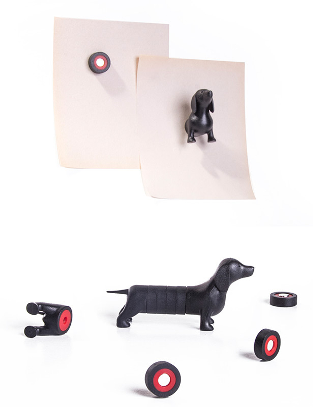 Набор магнитов dachshund, 6 шт.