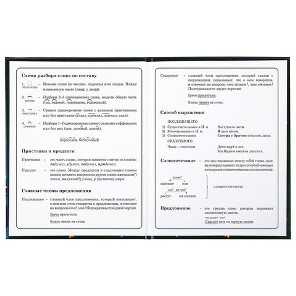 Дневник 1-4 класс 48 л., твердый, BRAUBERG, глянцевая ламинация, с подсказом, "Аниме котики", 106831