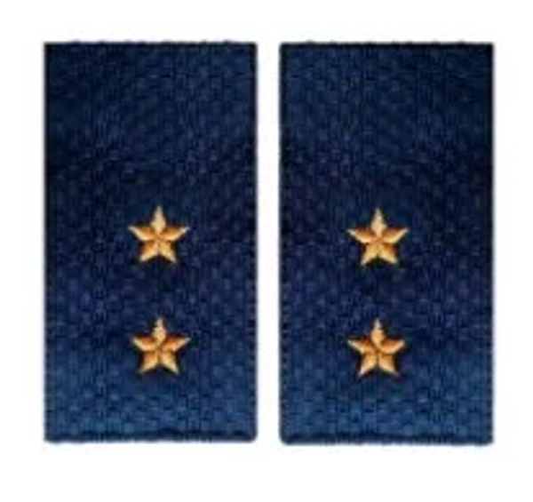 Фальшпогоны вышитые полиция прапорщик 5*9 см