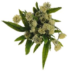 GAEM Цветочная композиция, L9 W9 H18 см, 5в.