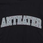 Футболка Anteater 300 (black)