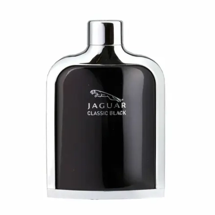Мужской парфюм Jaguar EDT 100 мл