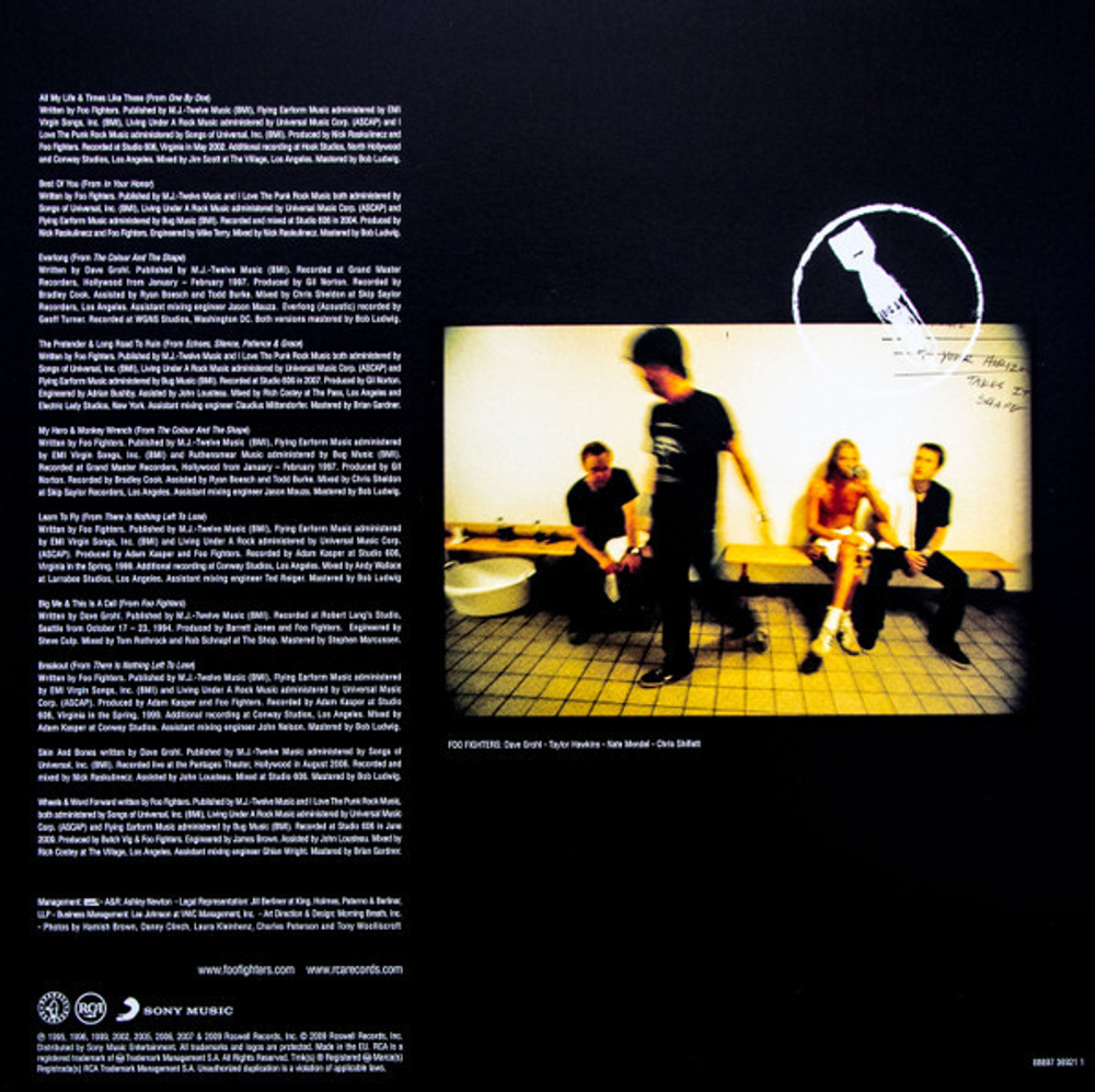 Foo Fighters / Greatest Hits (2LP)