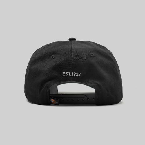 Кепка Dickies Hardwick 6 Panel Logo Cap артикул:DK0A4TKVBLK1 - купить в магазине Дайс