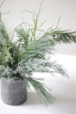 Новогодняя композиция в бетонном стаканчике № 4