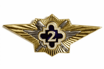 Значок мет. классность ФСИН 2 класс (зол.)