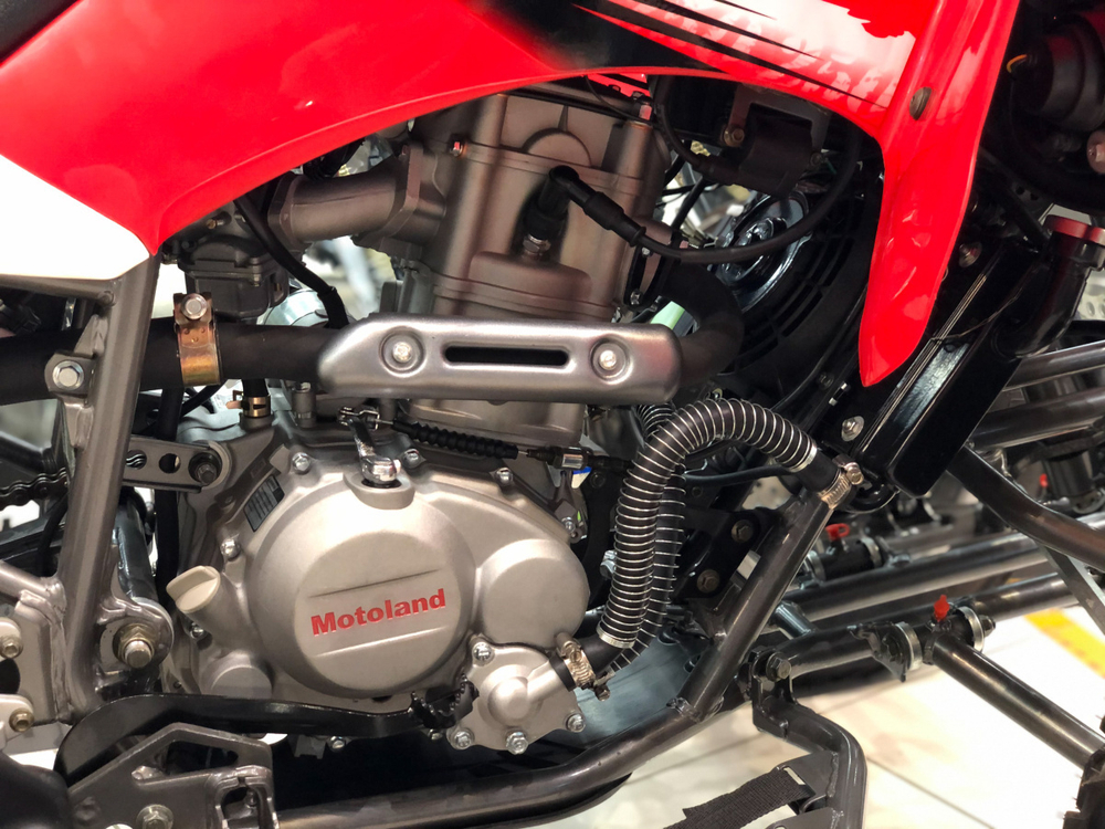 MOTOLAND ATV 250S (2021)