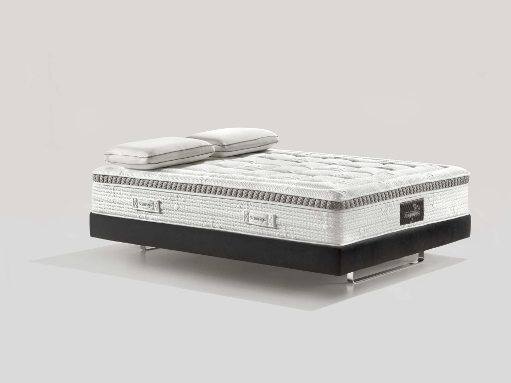 AUDACE ARMONIA MEMOFORM DUAL 12