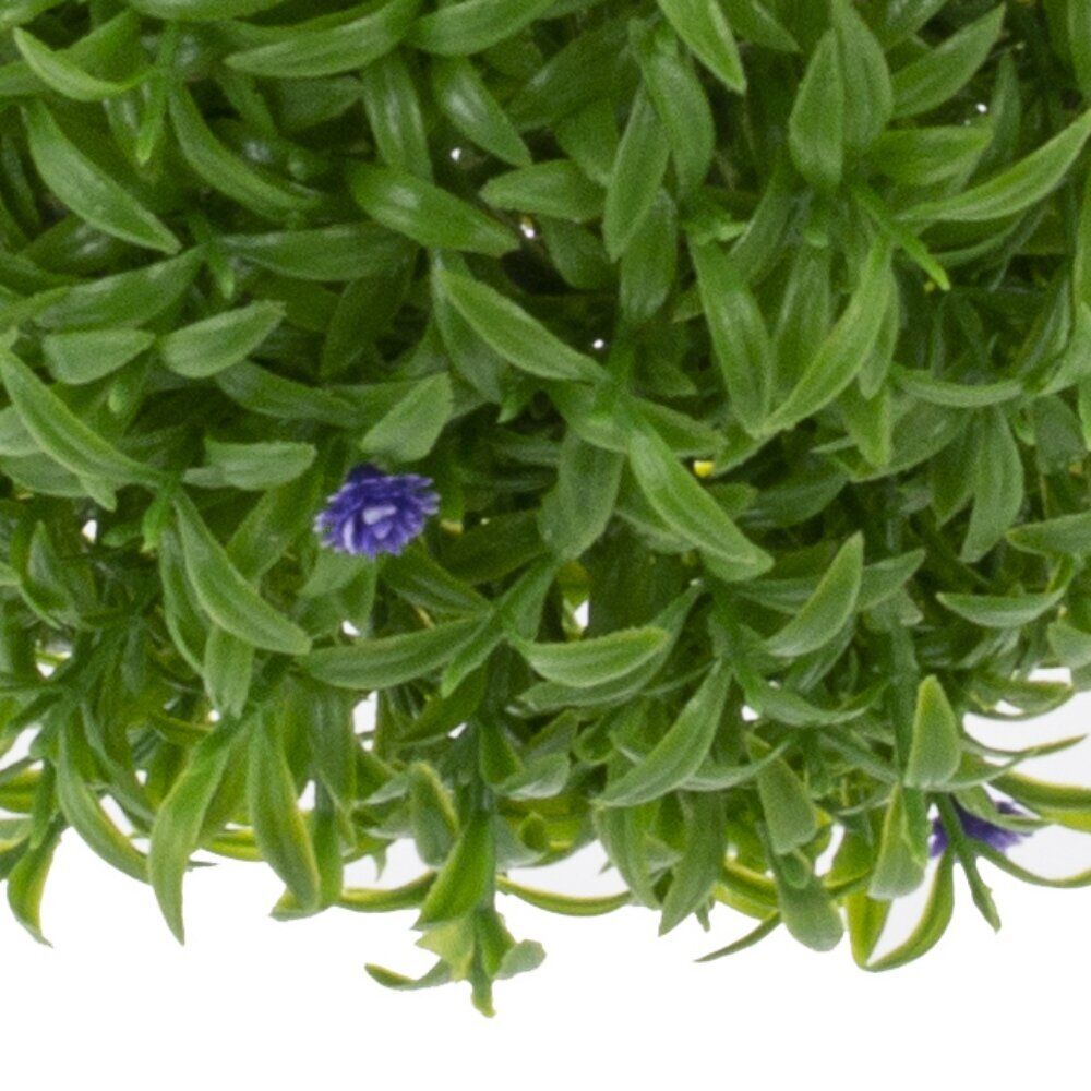 GAEM Цветочная композиция "Шар Самшит", L18 W18 H18 см