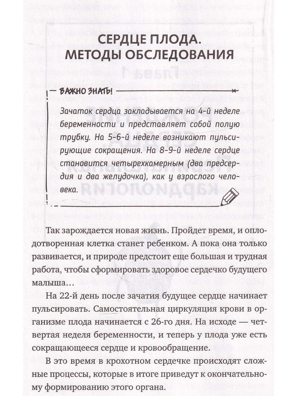 Доктор Сердце.Советы кардиолога