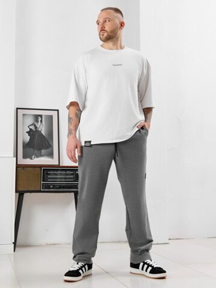 Брюки мужские Акс Виотекс СЕРЫЙ