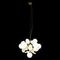 Подвесная люстра Loft IT Matisse 10008/6 White