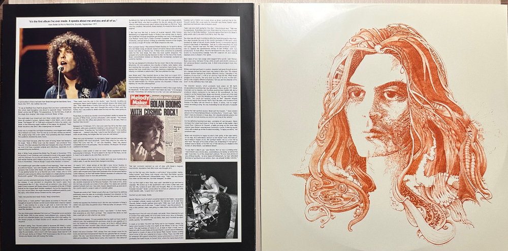 T. Rex - Electric Warrior 2LP (Европа 2012г.)