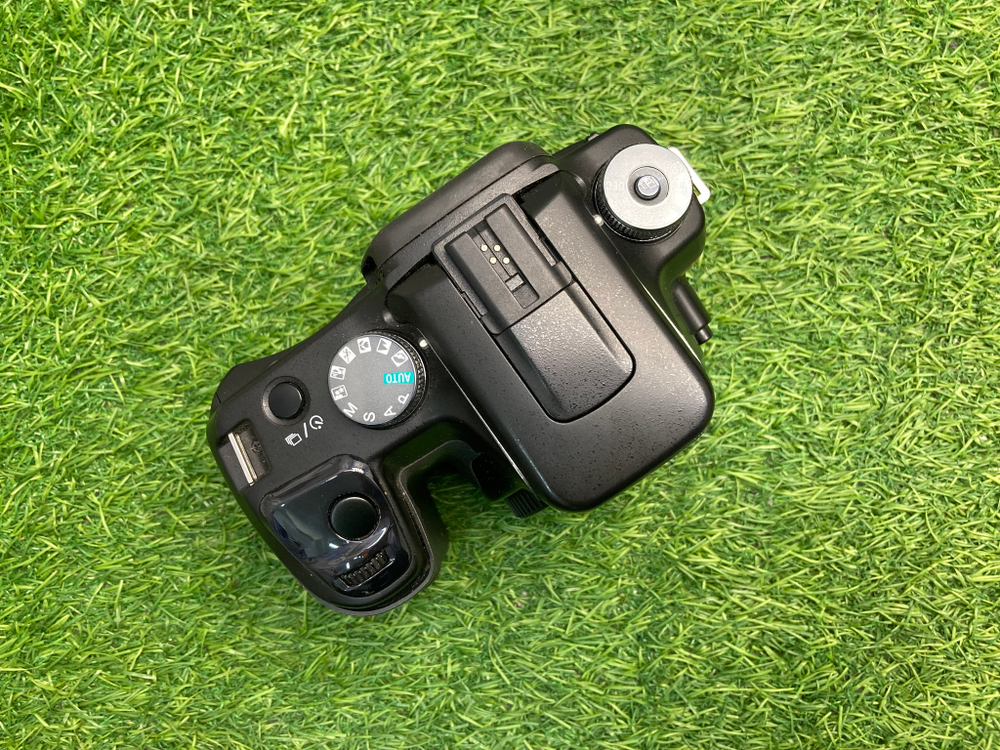Sony A100
