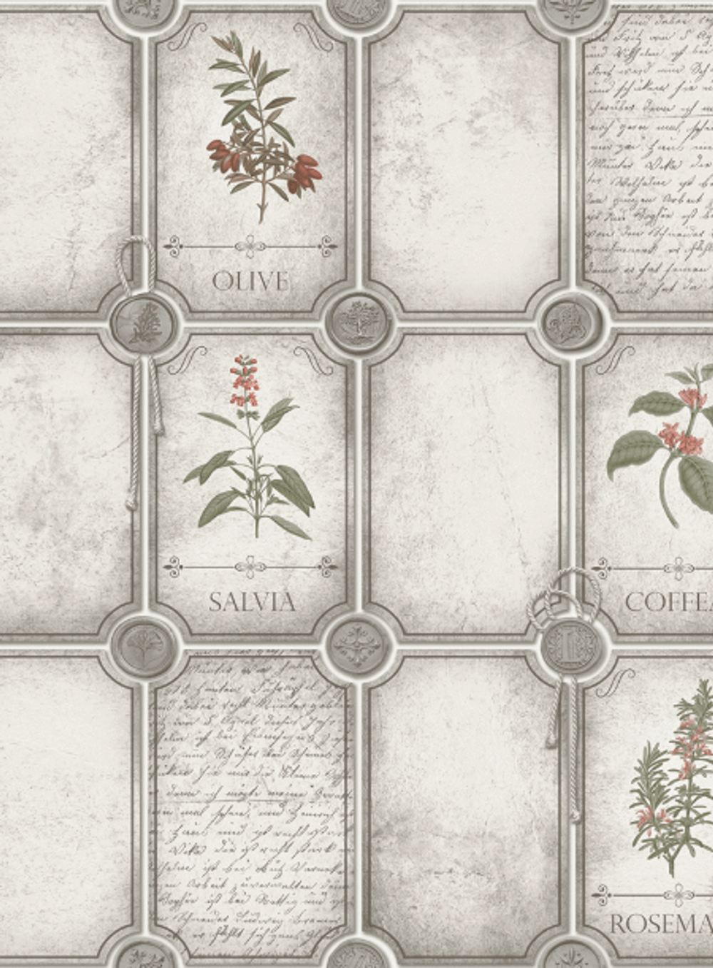 Розмарин - 11 белая