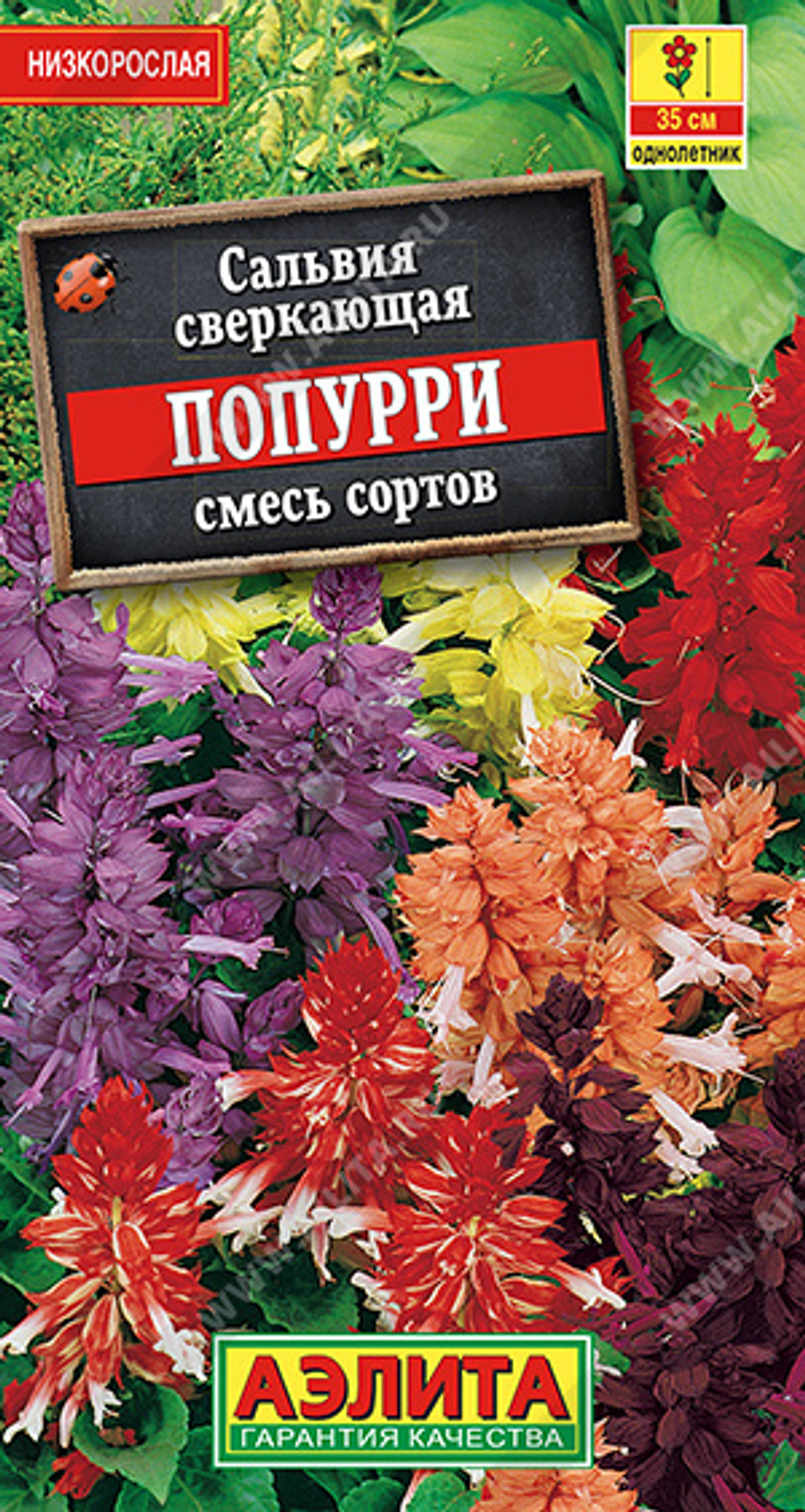 Сальвия Попурри, смесь сортов 0,1гр Аэлита
