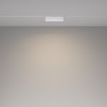 Трековый светильник Technical TR036-2-12W4K-W