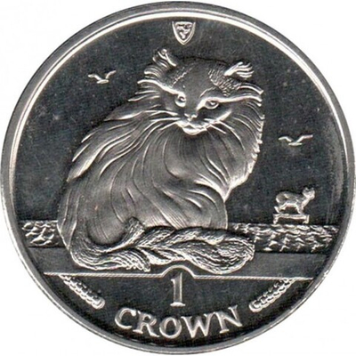 Турецкая ангора