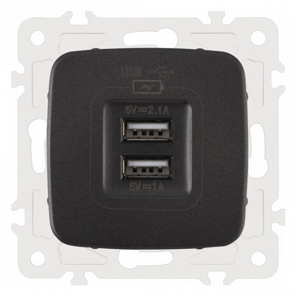 Розетка USB, без рамки Arte Milano am-205 205.46-1.black