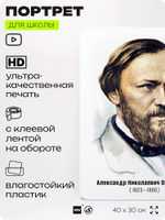Портрет для школы в кабинет литературы и русского языка "Островский Александр Николаевич", стенд школьный для класса, для оформления классного уголка, 40х30 см, Silver Plane x Айдентика Технолоджи