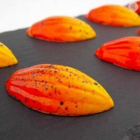 Форма для конфет поликарбонат Какао-боб