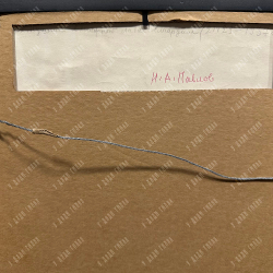 Павлов Н. А. А. С. Пушкин в книжной лавке Смирдина. Литография. 1937