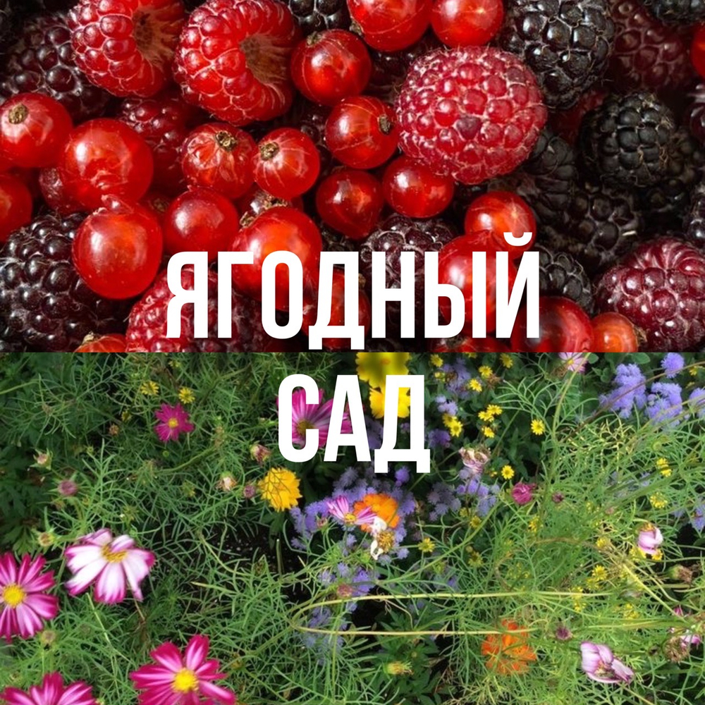 Свеча 50мл "ягодный сад"
