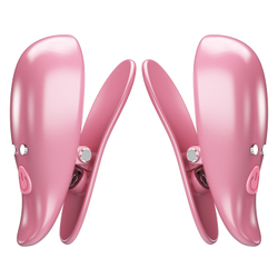 Pretty Love Cayley – Вибрирующие зажимы для сосков с пультом ДУ